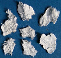 Bild für Kategorie Shredding Screens